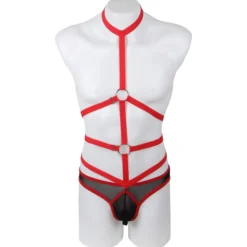 Punainen harness-body