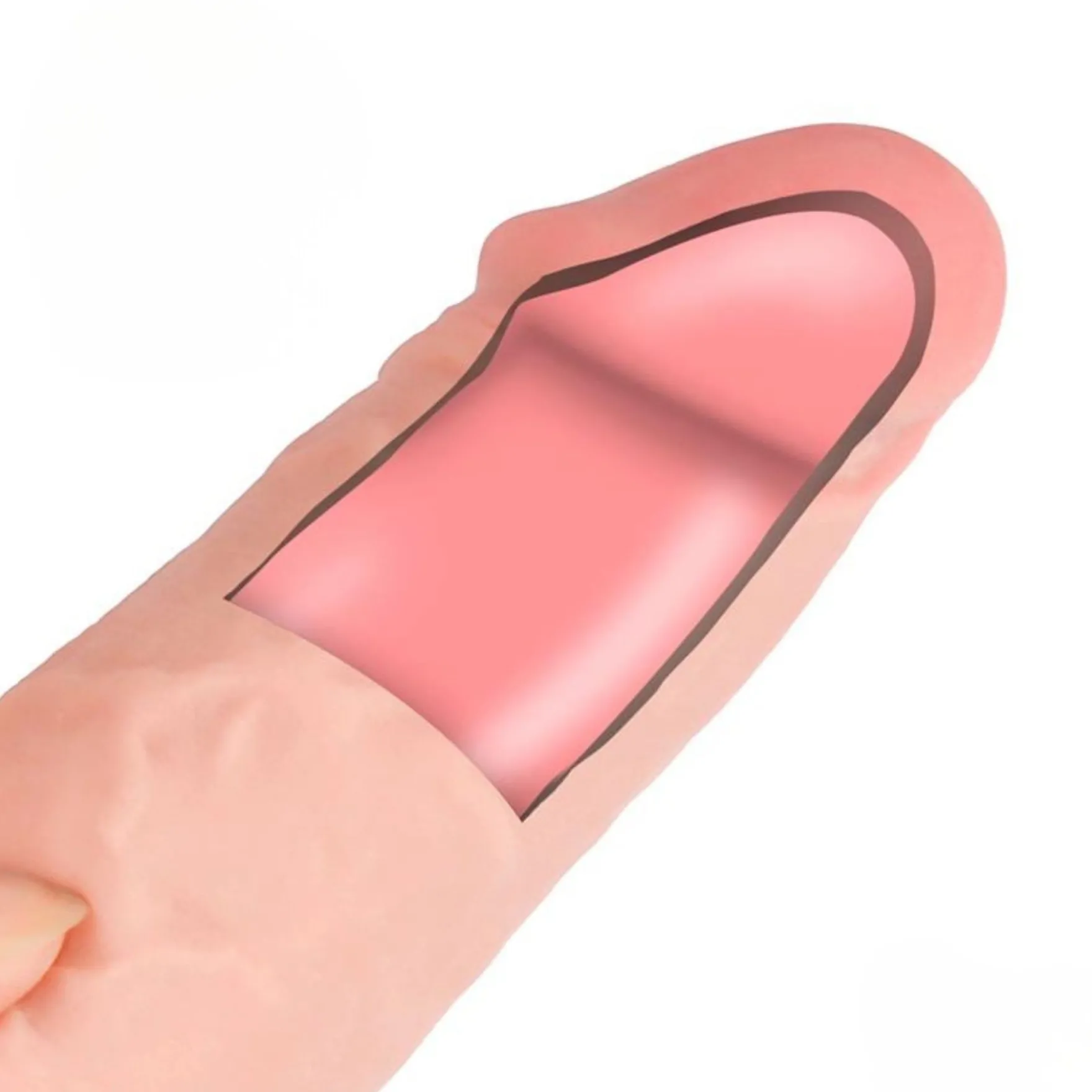Realistinen dildo kolmikerroksisella rakenteella 24 cm
